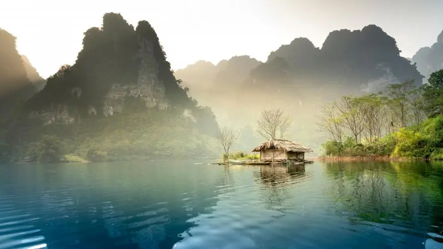 可靠性稳定性全自动